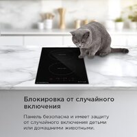 Варочная панель MAUNFELD AVI3021BK - Превью изображения №19 — Интернет-магазин Time-Shop