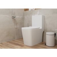 Унитаз напольный Lauter W09 S-TRAP с полипропиленовым сиденьем и микролифтом 21900003 (вертикальный выпуск) - Превью изображения №6 — Интернет-магазин Time-Shop