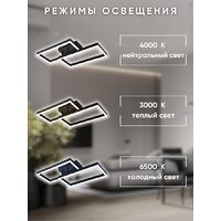 Припотолочная люстра Aitin Pro L71140/2 (черный) - Превью изображения №8 — Интернет-магазин Time-Shop