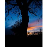 Беззеркальный фотоаппарат Fujifilm X-T50 Kit 15-45mm (серебристый) - Превью изображения №19 — Интернет-магазин Time-Shop