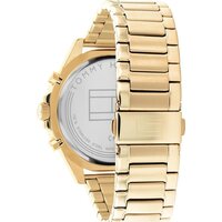 Наручные часы Tommy Hilfiger 1791919 - Превью изображения №3 — Интернет-магазин Time-Shop