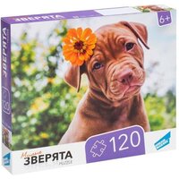 Dream Makers Зверята RI1203C