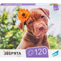 Пазл Dream Makers Зверята RI1203C - Превью изображения №2 — Интернет-магазин Time-Shop