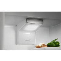 Холодильник Electrolux LNS6TE19S - Превью изображения №3 — Интернет-магазин Time-Shop