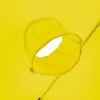 Палатка Premier Fishing Куб-3 PR-WFSC-210YG (зимняя, желтый/серый) - Превью изображения №16 — Интернет-магазин Time-Shop