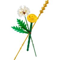 Конструктор LEGO The Botanical Collection 30701 Полевые цветы - Превью изображения №2 — Интернет-магазин Time-Shop