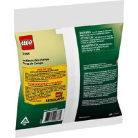 Конструктор LEGO The Botanical Collection 30701 Полевые цветы - Превью изображения №3 — Интернет-магазин Time-Shop
