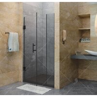 Душевая дверь RGW HO-012B 110 (черный/прозрачное стекло) - Превью изображения №2 — Интернет-магазин Time-Shop