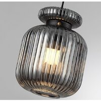 Подвесная люстра Odeon Light Jugi 5042/1B - Превью изображения №3 — Интернет-магазин Time-Shop