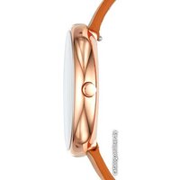 Наручные часы Skagen SKW2624 - Превью изображения №3 — Интернет-магазин Time-Shop