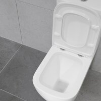 Унитаз напольный Lauter Vortex 2110012VF + гигиенический душ Tera 21GN9011CH - Превью изображения №23 — Интернет-магазин Time-Shop