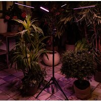 Лампа для растений Uniel ULT-P32-36W/SPLE/TM/40 IP40 BLACK QUAD UL-00008905 - Превью изображения №8 — Интернет-магазин Time-Shop