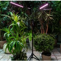 Лампа для растений Uniel ULT-P32-36W/SPLE/TM/40 IP40 BLACK QUAD UL-00008905 - Превью изображения №6 — Интернет-магазин Time-Shop