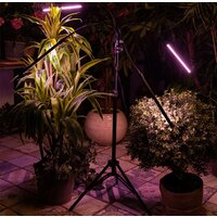 Лампа для растений Uniel ULT-P32-36W/SPLE/TM/40 IP40 BLACK QUAD UL-00008905 - Превью изображения №9 — Интернет-магазин Time-Shop