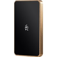 Внешний накопитель SmartBuy P5 Pro SBD256P5CU3C 256GB (золотистый) - Превью изображения №2 — Интернет-магазин Time-Shop