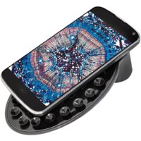 Детский микроскоп Bresser Junior Biolux SEL 40–1600x 74319 (зеленый) - Превью изображения №9 — Интернет-магазин Time-Shop