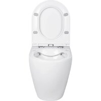 Унитаз подвесной Roxen Antares в комплекте с инсталляцией StounFix Dual Fresh 6 в 1 569295 (кнопка: белый глянец) - Превью изображения №7 — Интернет-магазин Time-Shop