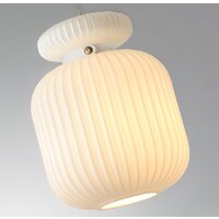 Подвесная люстра Odeon Light Jugi 5042/1C - Превью изображения №3 — Интернет-магазин Time-Shop