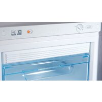 Морозильник POZIS FV NF-117 (серебристый) - Превью изображения №3 — Интернет-магазин Time-Shop