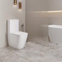 Унитаз напольный Lauter Vortex 2110012VF + гигиенический душ Rainix 21LT7714GL - Превью изображения №9 — Интернет-магазин Time-Shop