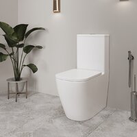 Унитаз напольный Lauter Vortex 2110012VF + гигиенический душ Rainix 21LT7714GL - Превью изображения №11 — Интернет-магазин Time-Shop