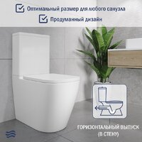 Унитаз напольный Lauter Vortex 2110012VF + гигиенический душ Rainix 21LT7714GL - Превью изображения №6 — Интернет-магазин Time-Shop