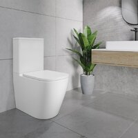 Унитаз напольный Lauter Vortex 2110012VF + гигиенический душ Rainix 21LT7714GL - Превью изображения №22 — Интернет-магазин Time-Shop