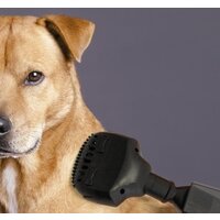 Пылесос Concept VP4351 - Превью изображения №4 — Интернет-магазин Time-Shop