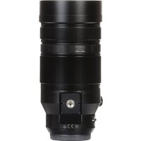 Объектив Panasonic Leica DG Vario-Elmar 100-400 mm F4.0-6.3 ASPH POWER O.I.S. - Превью изображения №10 — Интернет-магазин Time-Shop