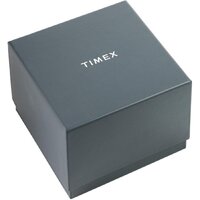 Наручные часы Timex TW2V43700 - Превью изображения №6 — Интернет-магазин Time-Shop