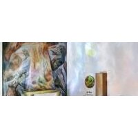 Сиденье для унитаза Laufen Sonar 8933410000001 - Превью изображения №13 — Интернет-магазин Time-Shop