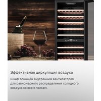 Винный шкаф MAUNFELD MFWC-201D77 - Превью изображения №11 — Интернет-магазин Time-Shop