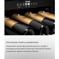 Винный шкаф MAUNFELD MFWC-201D77 - Превью изображения №12 — Интернет-магазин Time-Shop