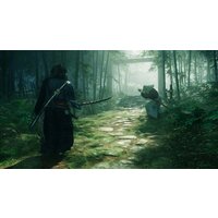  Rise Of The Ronin для PlayStation 5 - Превью изображения №2 — Интернет-магазин Time-Shop