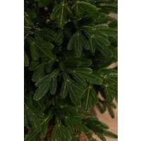 Ель Ёлушка Литая Марьинская ЕМАР 11 (1.1м) - Превью изображения №5 — Интернет-магазин Time-Shop