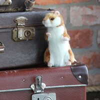 Классическая игрушка Hansa Сreation Сreation Хомяк домашний 3739 (15 см) - Превью изображения №15 — Интернет-магазин Time-Shop