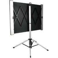 Проекционный экран CACTUS TriAlExpert 102x180 CS-PSTALE-180X102 - Превью изображения №2 — Интернет-магазин Time-Shop