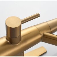 Смеситель Shevanik S968G - Превью изображения №21 — Интернет-магазин Time-Shop