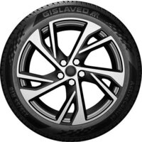 Летние шины Gislaved ActiveControl 255/45R20 101W - Превью изображения №2 — Интернет-магазин Time-Shop
