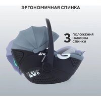 Детское автокресло Rant Aster Zero AY378 (графитовый) - Превью изображения №16 — Интернет-магазин Time-Shop