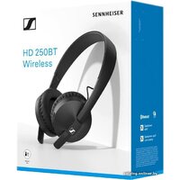 Наушники Sennheiser HD 250BT - Превью изображения №5 — Интернет-магазин Time-Shop
