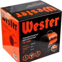 Электрическая тепловая пушка Wester TB-5000 - Превью изображения №10 — Интернет-магазин Time-Shop