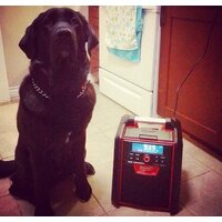 Зарядное устройство Milwaukee M18 RC-0 4933446639 (18В) - Превью изображения №10 — Интернет-магазин Time-Shop