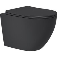 Унитаз подвесной Lauter Augsburg с жестким сиденьем Soft Close 21109EC (черный матовый, скрытое крепление) - Превью изображения №8 — Интернет-магазин Time-Shop