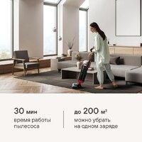 Вертикальный моющий пылесос Rondell RDE-2080 - Превью изображения №21 — Интернет-магазин Time-Shop