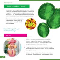 Микроскоп Levenhuk Discovery Nano Gravity с книгой 77959 - Превью изображения №7 — Интернет-магазин Time-Shop