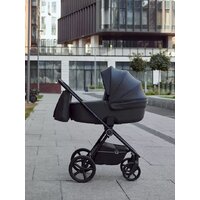 Универсальная коляска Rant Teo 2в1 RA120 (черный) - Превью изображения №29 — Интернет-магазин Time-Shop