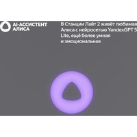 Умная колонка Яндекс Станция Лайт 2 (серый) - Превью изображения №7 — Интернет-магазин Time-Shop