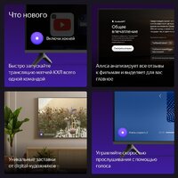 Телевизор Яндекс ТВ Станция Бейсик с Алисой 65 YNDX-00077 - Превью изображения №10 — Интернет-магазин Time-Shop