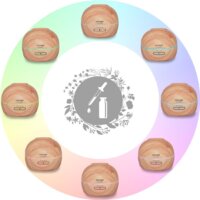 Увлажнитель воздуха Concept ZV1005 - Превью изображения №2 — Интернет-магазин Time-Shop